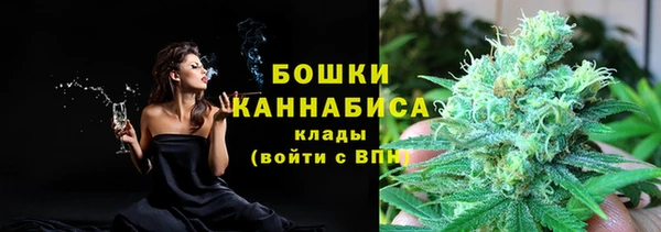 гашик Арсеньев