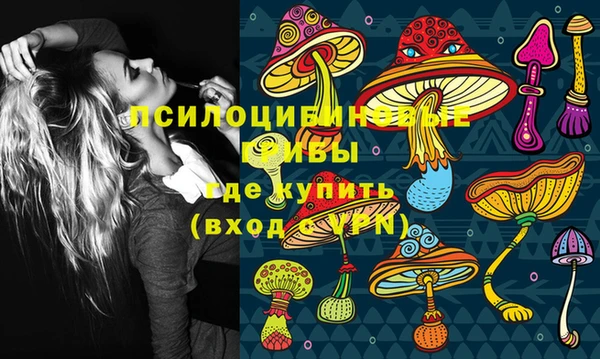 гашик Арсеньев