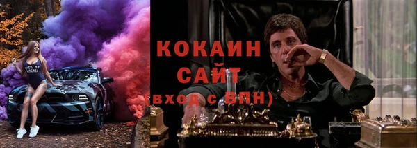 гашик Арсеньев