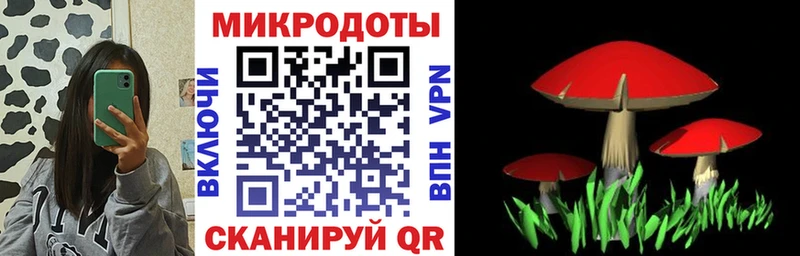 купить закладку  Спасск  Псилоцибиновые грибы GOLDEN TEACHER 